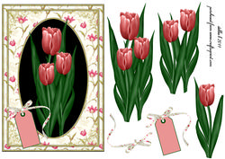 Tulips for You