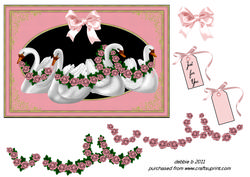 Swans and Roses