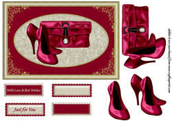 Beautiful Maroon Shoes and Matching Clutch Bag
