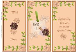 Live Life