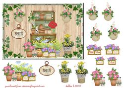 Grannie's Shed