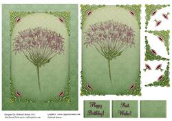 Wild Flower in Green Frame