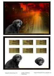 Black "labrador" Forest