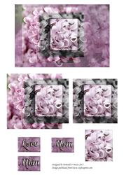 Lilac Sublime
