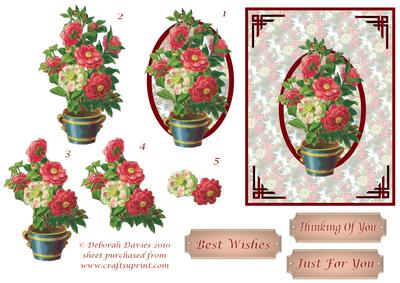 Stunning Floral Arrangement Step by Step