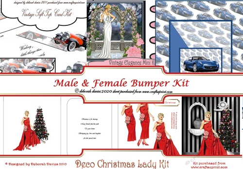 Male & Female Bumper Kit