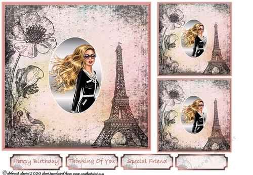 Windswept In Paris
