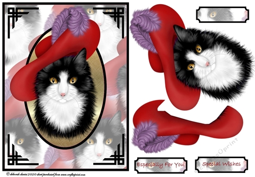 Cat in the Hat