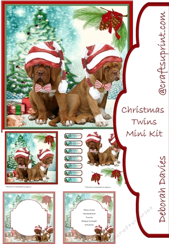 Christmas Twins Mini Kit