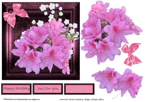Pink Framed Azalea