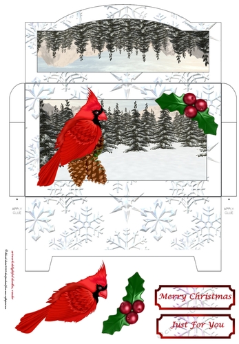 Winter Bird 2 Money Pocket