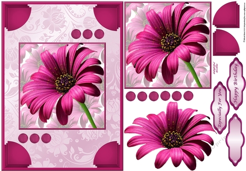 Cerise Floral