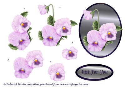 Lilac Pansy Step by Step