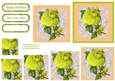 Lemon Florals on Lace