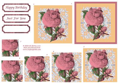 Pink Florals on Lace
