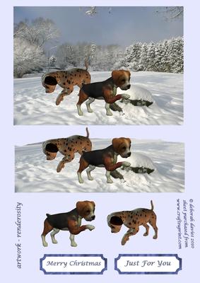 Puppies in the Snow