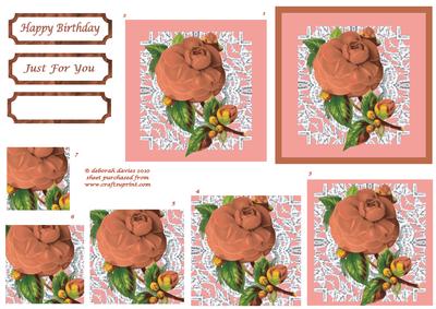 Peach Florals on Lace