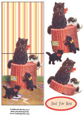 Cats Play Over the Edge Card