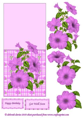 Pink Petunia Over the Edge