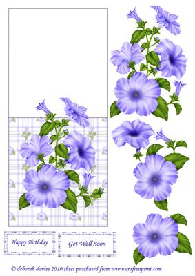 Blue Petunia Over the Edge