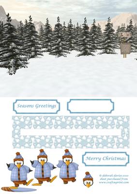 Snow Play Penny Slider