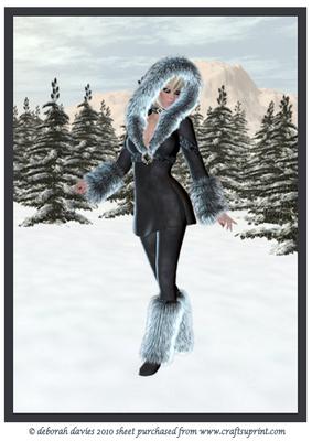 Walk in the Snow Large Topper