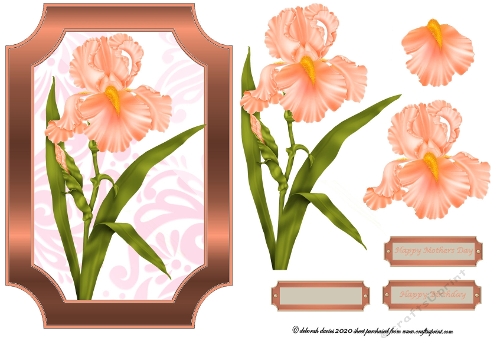 Peach Floral