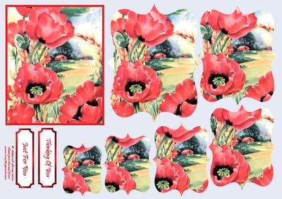 Vintage Poppy