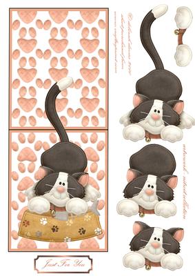 Cats Whiskers