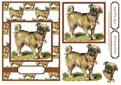 Cute Pug Dog Decoupage