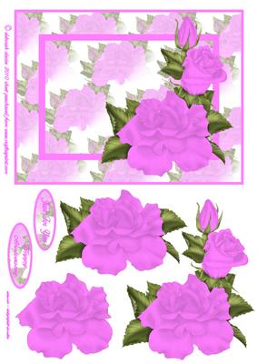 Pretty Lilac Rose
