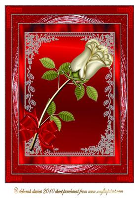 A Simple Rose in Red