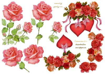 Mixed Roses Step by Step