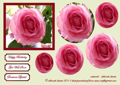 My Pink Rose Pyramage