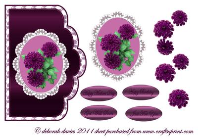 Mauve Chrysanths