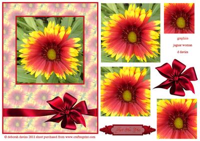 Stunning Floral Cardfront