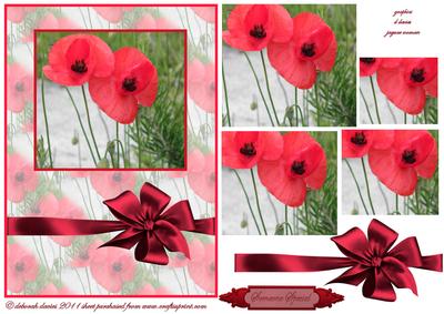 Stunning Poppy Cardfront