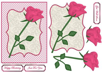 A Simple Rose in Pink