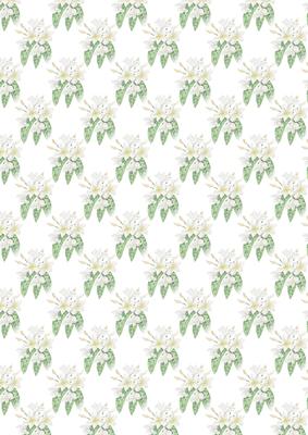 White Floral Vellum