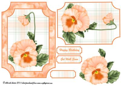Pretty Apricot Pansy