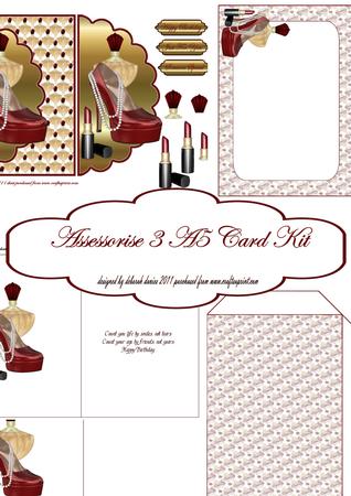 Assessorise 3 Card Kit