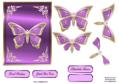 Lovely Lilac Butterfly