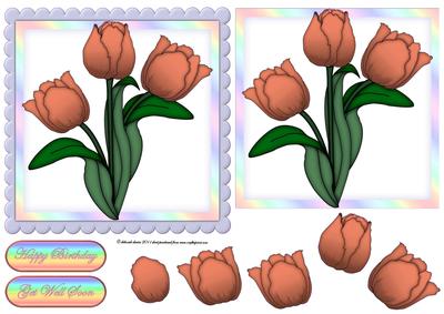 Peach Floral Scallop Edge