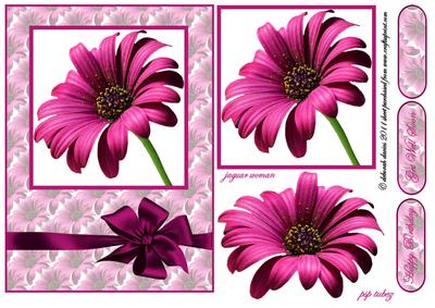 Cerise Beauty