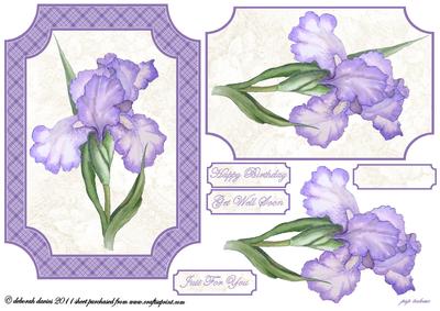 Lilac Floral Beauty