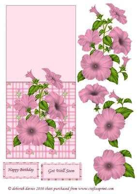 Pink Petunia