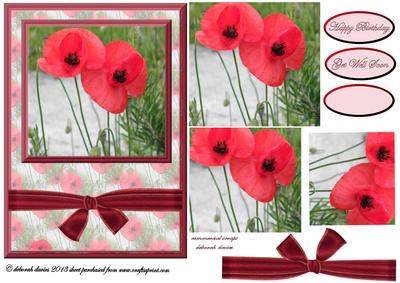 Pretty Poppies