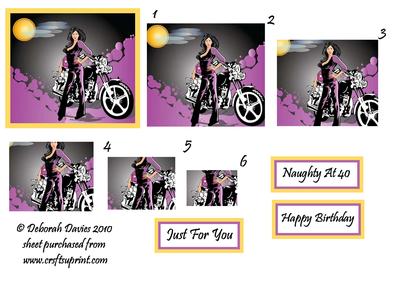 Rock Chick with Bike