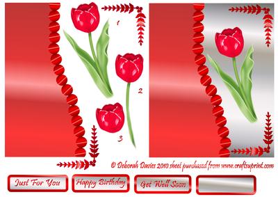 Glossy Red Tulip