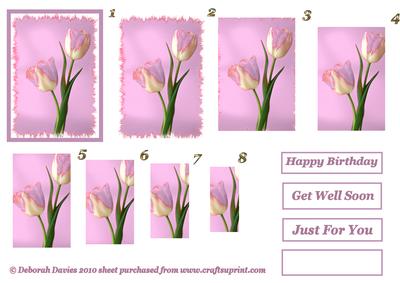 Romantic Tulips in Lilac